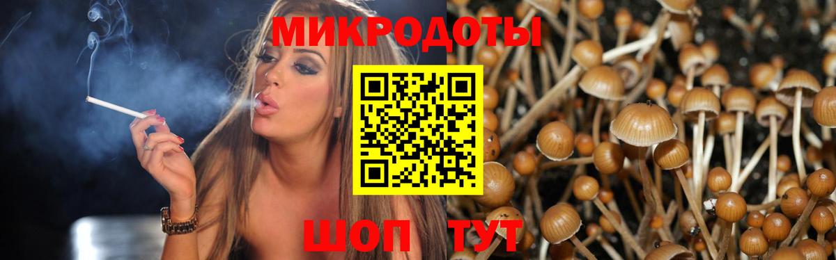 Галлюциногенные грибы прущие грибы  Вход с VPN  Новоалтайск 